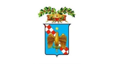 Ordinanza n. 17/2025
