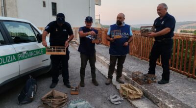 Chiusura della stagione venatoria 2025/2026: il bilancio della Polizia Provinciale