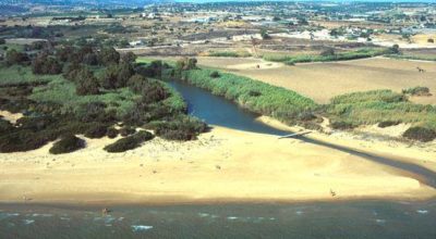 Seminario di formazione ambientale