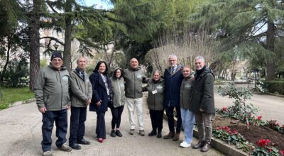 Un nuovo carrubo a Villa Aylan