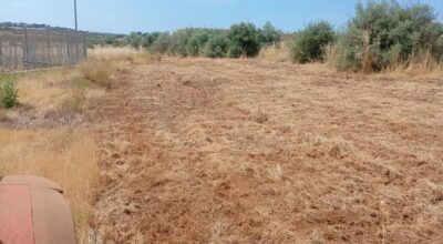 Riciclo Verde: risultati operativi e gestione in sicurezza del centro di contrada Perciata